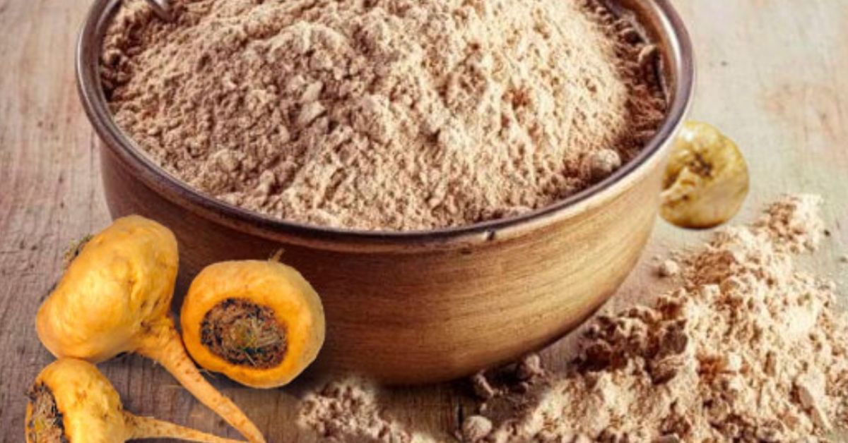 Maca peruana negra: Maca peruana negra para que serve e quais benefícios