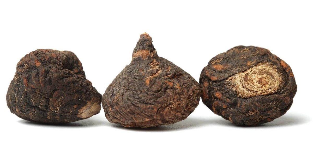 Maca peruana tribulus terrestris: Minha experiência e o que descobri sobre esses dois suplementos naturais